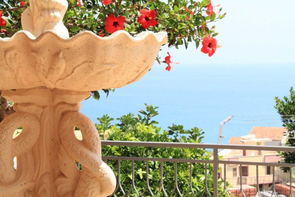 Terrace View
